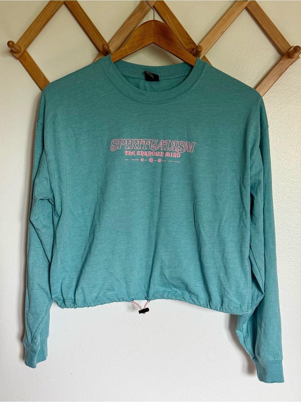 Urban Outfitters Teal Cropped Long Sleeve Graphic Tee